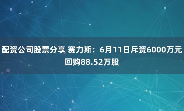 配资公司股票分享 赛力斯：6月11日斥资6000万元回购88.52万股